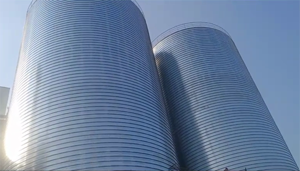 扎赉诺尔2座混凝土高架卷板仓